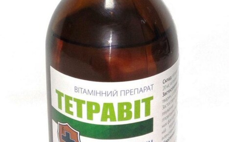 Tetravit cho động vật: hướng dẫn sử dụng và tính năng sử dụng