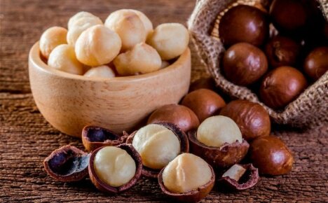 Macadamia-noot - de voor- en nadelen van de duurste en meest vette noot ter wereld