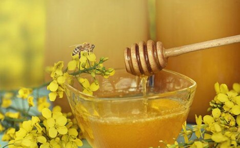 Repkový med: výhody a škody, vplyv na rôzne systémy tela