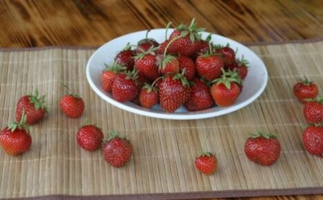 Vad finns i jordgubbar: vitaminsammansättning och användbara egenskaper hos bär