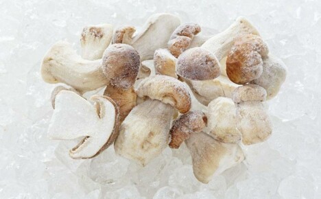 Wie man gefrorene Pilze lecker und gesund kocht