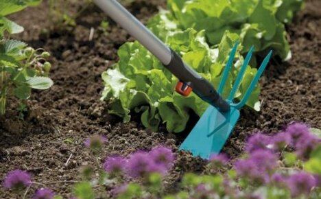 Tipi di zappe per il diserbo: scelta di strumenti per lavorare in giardino e orto