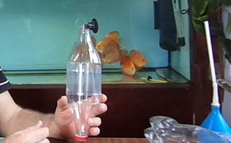 Kaviaaria varten tarkoitettujen akvaario-inkubaattorien tekeminen