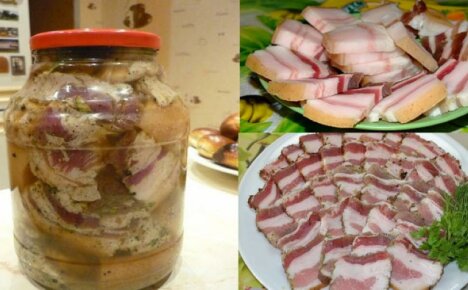 Свинска саламура в буркан - ние приготвяме най-деликатната и ароматна свинска мас у дома