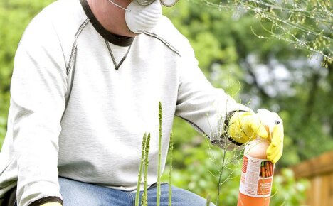 Ce sunt pesticidele și care este clasificarea lor