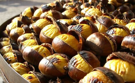 How to cook chestnuts: culinary tricks and best recipes