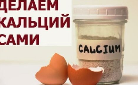Cheaper and more effective than in a pharmacy - eggshells as a source of calcium