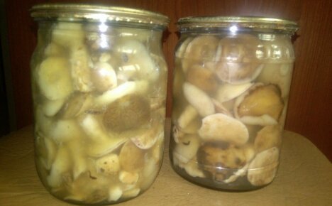 Atenção - cogumelos em conserva ficaram turvos, o que fazer com eles e você pode comer