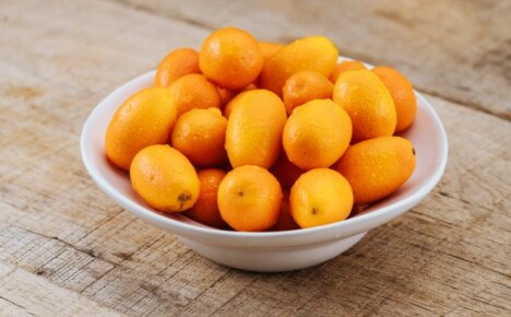 Pomme chinoise ou kumquat - de quel type de fruit s'agit-il et que faire avec