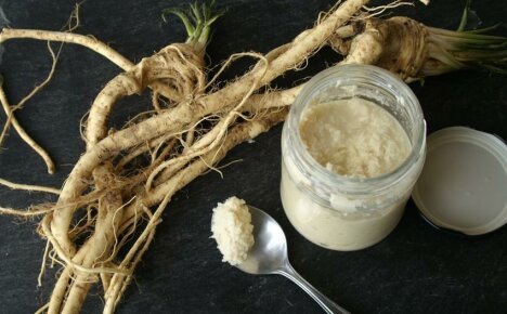 How to prepare horseradish for the winter without vinegar - simple recipes