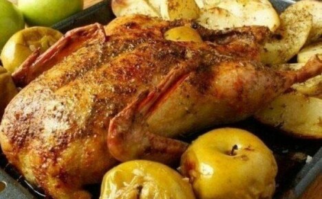 Fırında elmalı ördek - tatiller ve hafta içi yemekler için bir yemek