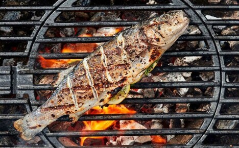 Gegrilde vis voor een picknick volgens beproefde recepten