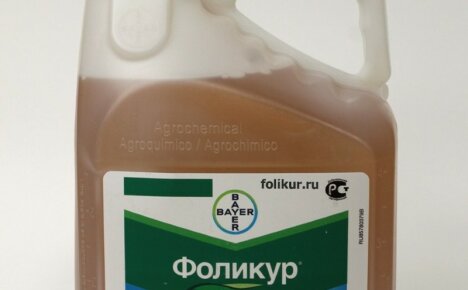 Fungicida Folicur - l'uso di un farmaco unico per il trattamento e la stimolazione della crescita delle piante