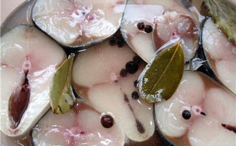 De beste en eenvoudige recepten om makreel thuis te zouten