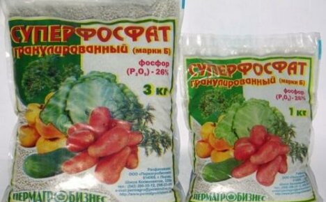 Fertilizantes fosfatados para tomates: tipos, nombres, aplicación.