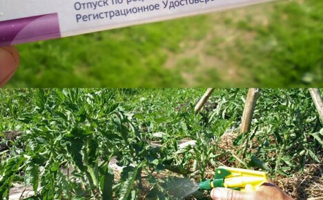 Използването на Trichopolum за растения - използването на лекарства за градината и зеленчуковата градина