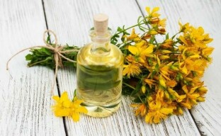 Conosce le proprietà medicinali dell'erba di San Giovanni?