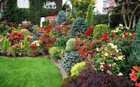 Engelsk blomträdgård - en magnifik utsikt i trädgården året runt