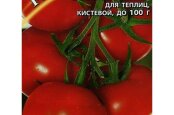 Samaran tomaattilajikkeiden viljelyn salaisuudet runsaalle sadolle