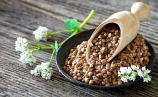 Propiedades útiles del trigo sarraceno - reina de los cereales.