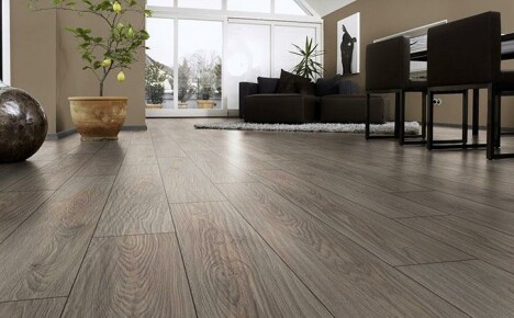 How to choose a laminate and what to look for