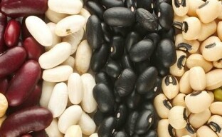 Types of beans and their beneficial properties