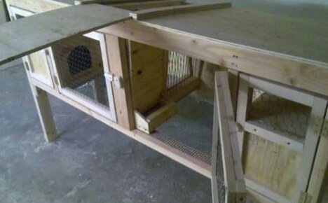 How to make a rabbit cage: tips and tricks