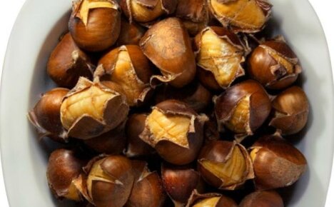 Educational program for gourmets - which chestnuts can be eaten