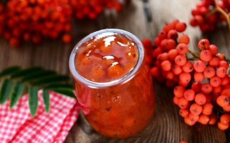 Prepare red rowan jam - the benefits and harms of an amazing treat
