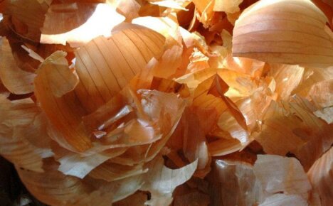 Grandma's recipes for using onion peels in the garden