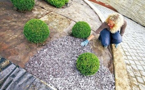 Step-by-step recommendations on how to make a gravel bed in the country with your own hands