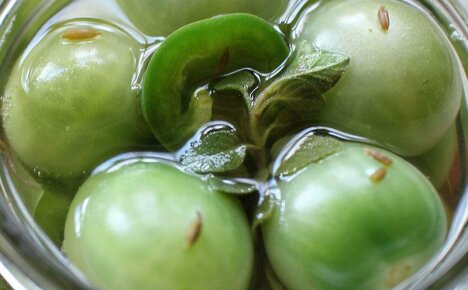 Lär dig att kalla salta gröna tomater för vintern