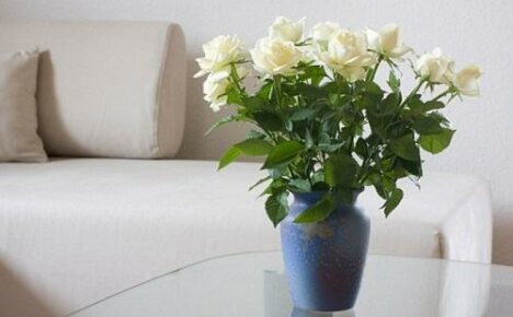 Mit lehet tenni azért, hogy a vázában lévő rózsák tovább tartsanak?