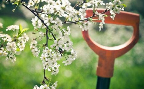 Varm maj i haven: en sommerboendes foråret gør det