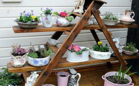 The flower ladder will decorate your home and garden