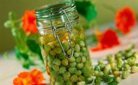 Recipes for making capers from nasturtium seeds