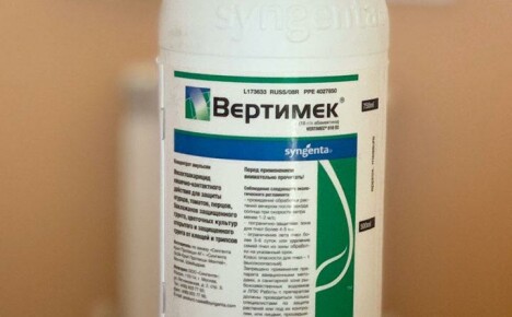 Pest control rules in the instructions for the use of acaricide Vertimek