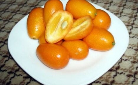 Kan kumquat blaasontsteking veroorzaken of is Japanse sinaasappel goed voor u?