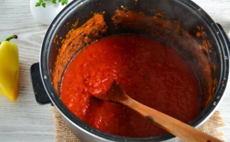 Comment faire cuire de la pâte de tomate dans un multicuiseur - les subtilités du processus de cuisine