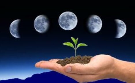 Hogyan hat a hold a földre a kertészkedés szempontjából?