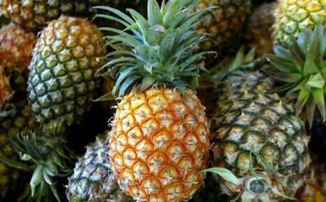 Paano Lumaki ng Sweet Pineapple sa Home?