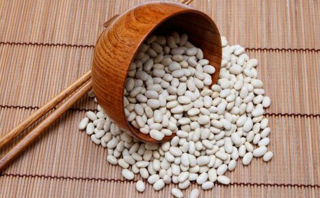 Produk yang tidak dapat diganti dalam diet utama - kacang putih, faedah dan kemudaratan kacang yang sedap