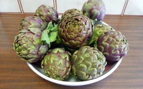 How to cook an artichoke - easy recipes