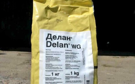 Univerzální zahradnický pomocný fungicid Delan