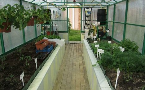 Ako organizovať striedanie plodín v skleníku