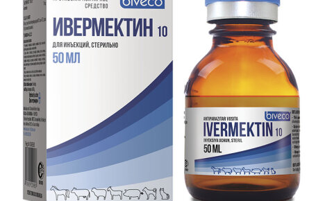 Arahan terperinci untuk penggunaan Ivermectin dalam perubatan veterinar