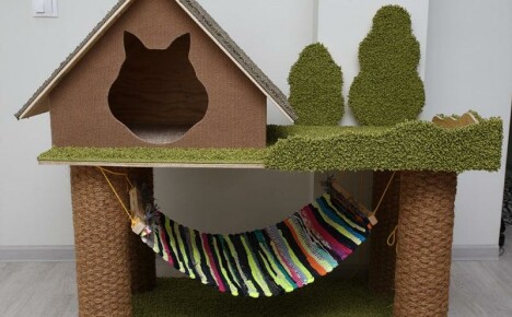 Bir kedi için kendin yap güzel ve rahat ev