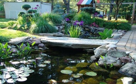 The best design ideas for ponds in summer cottages