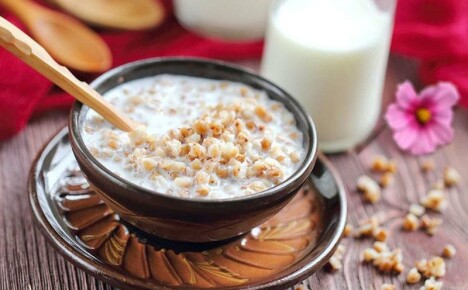 How useful is buckwheat with milk for our health