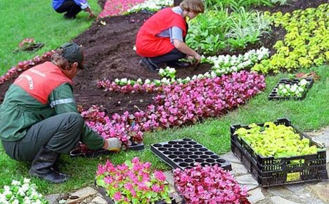 Milyen virágokat lehet ültetni áprilisban